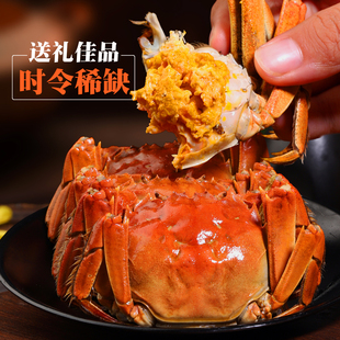 活蟹陽澄湖大閘蟹禮盒大閘蟹鮮活螃蟹河蟹特大官方旗艦店現貨特大