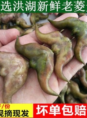 洪湖菱角新鲜生棱角粉糯老菱角农家湖北特产黑凌角蔬菜5斤包邮