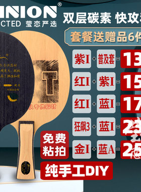 莹恋 Palio拍里奥 TCT新TNT-1专业乒乓球底板球拍9层钛碳素进攻型