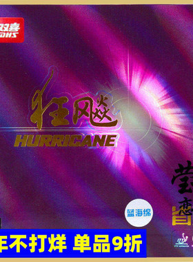 莹恋 DHS红双喜22号蓝海绵省狂飙3省套省狂3三乒乓球胶皮球拍套胶