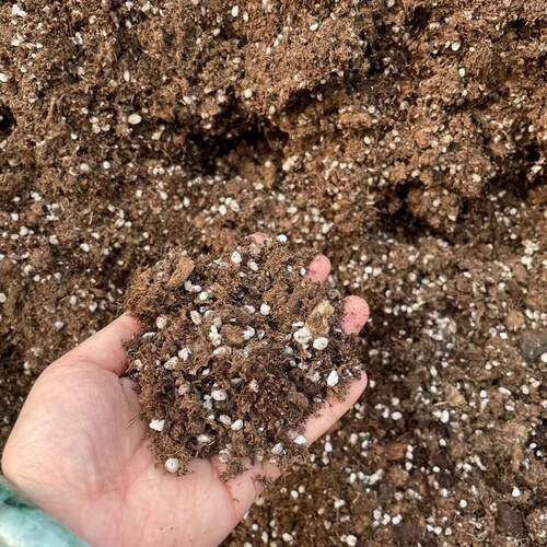 通用营养土进口泥炭播种草花植物