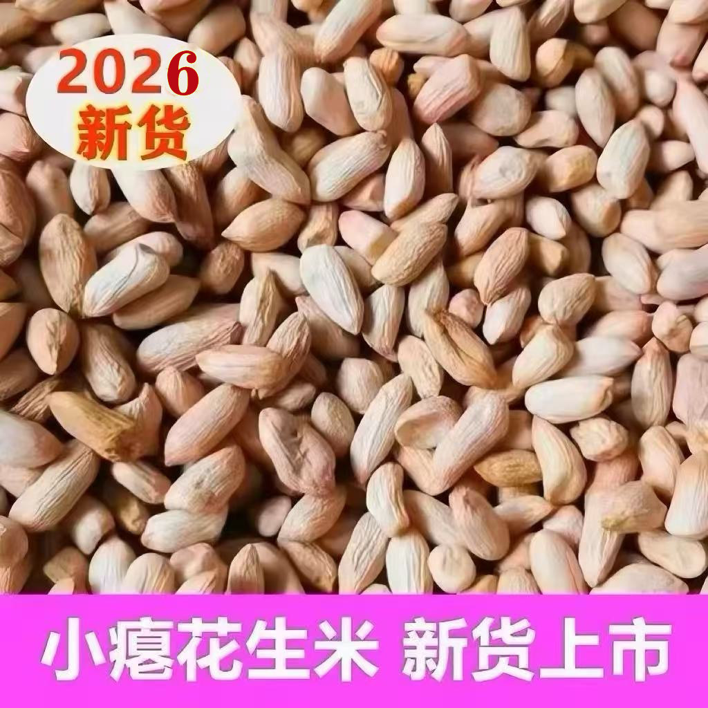 山东2026新小瘪花生米农家新鲜甜干瘪生花生威海小粒扁秕子零食