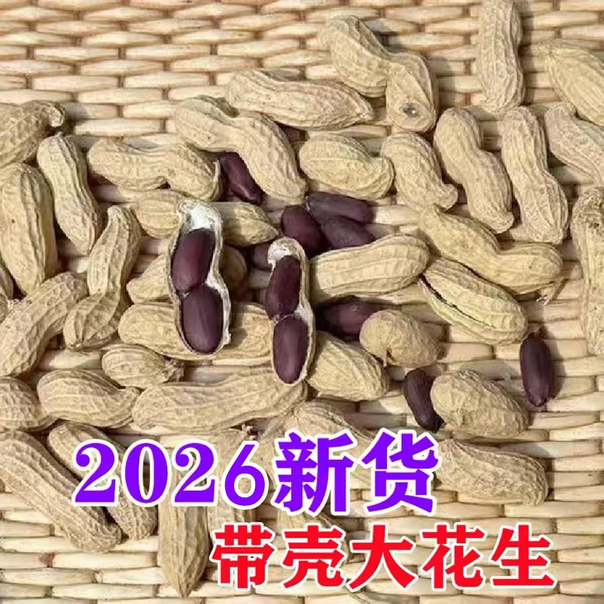 黑花生新鲜晒干大粒生花生
