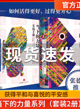 当下的力量系列（套装2册）包邮 当下的力量实践手册（白金版）+当下的力量（白金版）精装正版 埃克哈特托利 著 中信出版