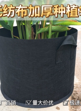 黑色无纺布种植袋加厚加仑袋 植树袋美植袋营养育苗种菜袋花盆