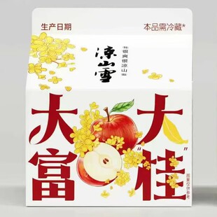 四川西昌凉山雪乳酸菌酸奶饮料500g*6礼盒包装短保苹果桂花新口味