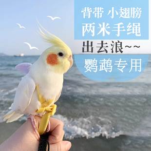 珍珠鸟专用放飞绳鹦鹉牵引绳外出训练鸟类弹力绳不伤脚遛鸟神器XM