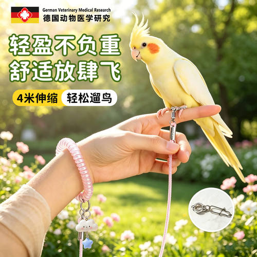 【溜鸟神器】鹦鹉专用放飞绳