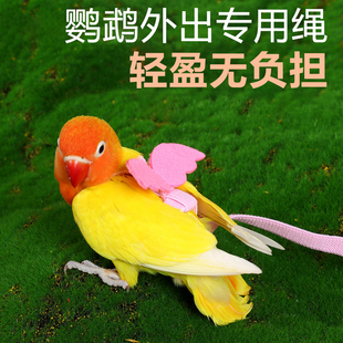鸟用鹦鹉牵引绳珍珠鸟专用放飞绳外出训练鸟的飞行绳不伤脚超轻XM