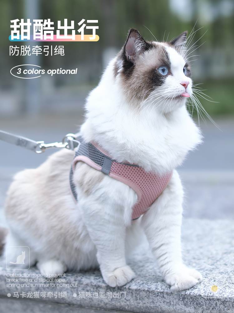 猫咪牵引绳防挣脱外出专用遛猫绳子溜猫链子胸背带小宠物用品大全