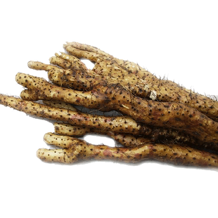 怀府农庄 自然生长铁棍山药新鲜正宗5斤装太行山坚硬土质生长特产