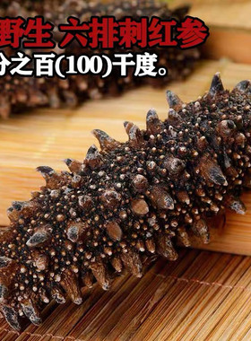 日本关东参俄罗斯海参纯淡无添加野生海参北海道六排刺