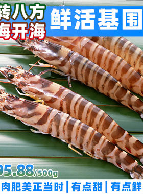 威海开海季鲜活基围虾斑节虾对虾