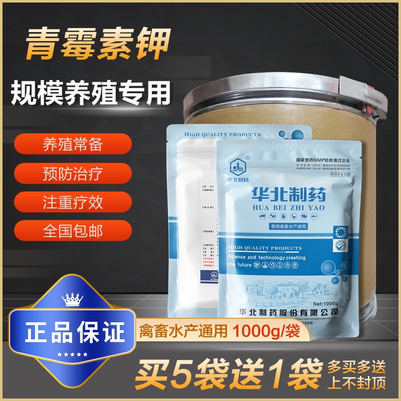 华北青霉素钾兽用可溶性粉鸡鸭猪牛羊禽畜水产大肠杆菌饲料添加剂