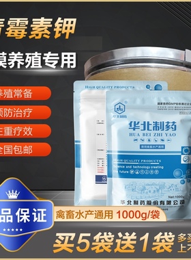 华北青霉素钾兽用可溶性粉鸡鸭猪牛羊禽畜水产大肠杆菌饲料添加剂