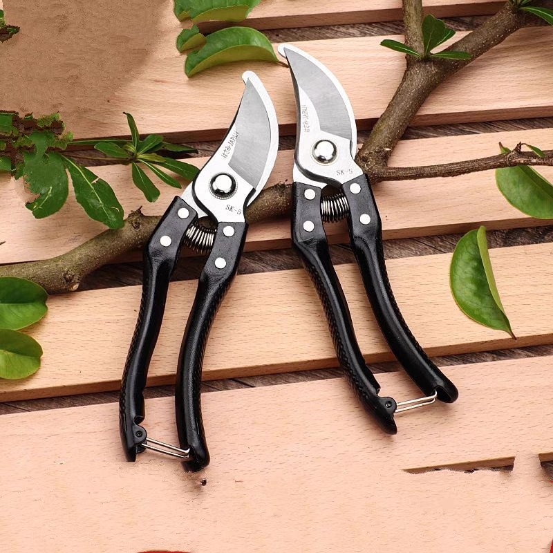 特价专业园艺剪花卉修剪细枝粗枝强刀剪花园剪采摘水果采摘橘子剪