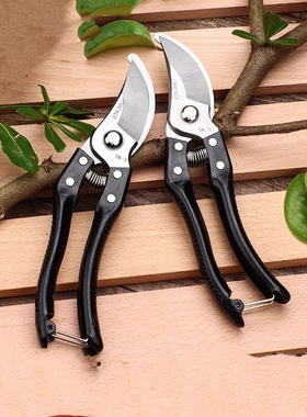 特价专业园艺剪花卉修剪细枝粗枝强刀剪花园剪采摘水果采摘橘子剪