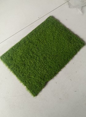 鲜活短绒苔藓人工驯化盆景花盆铺面用苔藓干净无杂质纱布款少泥
