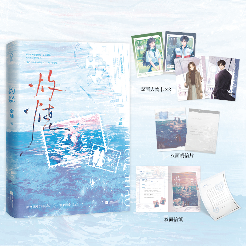 灼烧金岫著新视角图书