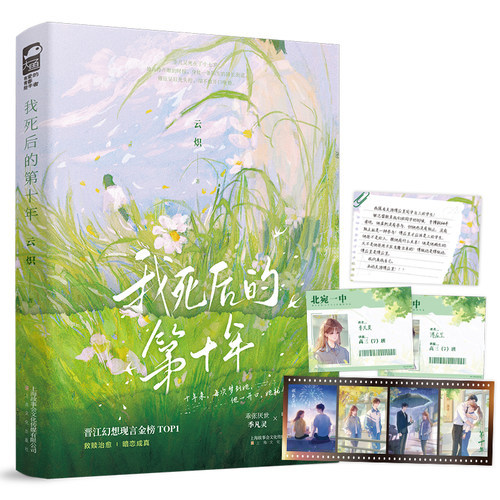 我死后的第十年 云炽著 乖张厌世季凡灵 x 嘴硬傲娇傅应呈 时空穿越  救赎治愈  暗恋成真 青春言情小说实体书 新视角图书正版