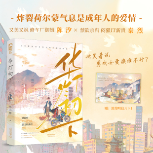 青春小说实体书 戈壁滩 秦烈 闷骚京归IT新贵 陈汐 野玫瑰 新视角正版 华灯初下 影视原著都市言情 马小如著