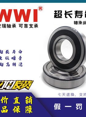 WWI安瑞电机深沟球轴承6310 6311 6312 6313 6314-ZZ 2RZ高速静音