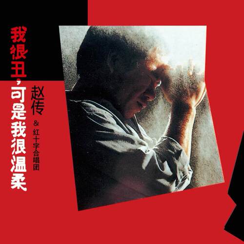 官方正版 赵传专辑 我很丑，可是我很温柔 滚石经典 摇滚CD唱片