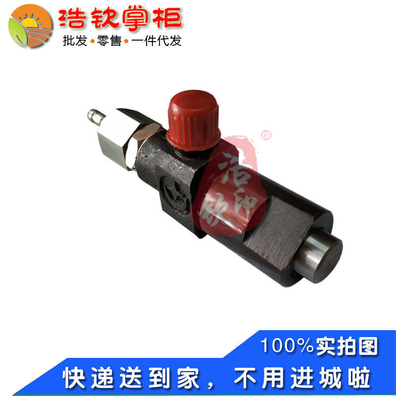 湖南滨湖桃花源正滨风冷四冲程小型柴油机BH165F喷油嘴总成175