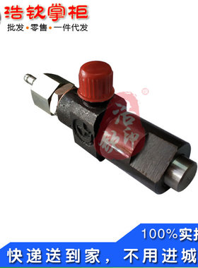 湖南滨湖桃花源正滨风冷四冲程小型柴油机BH165F喷油嘴总成175