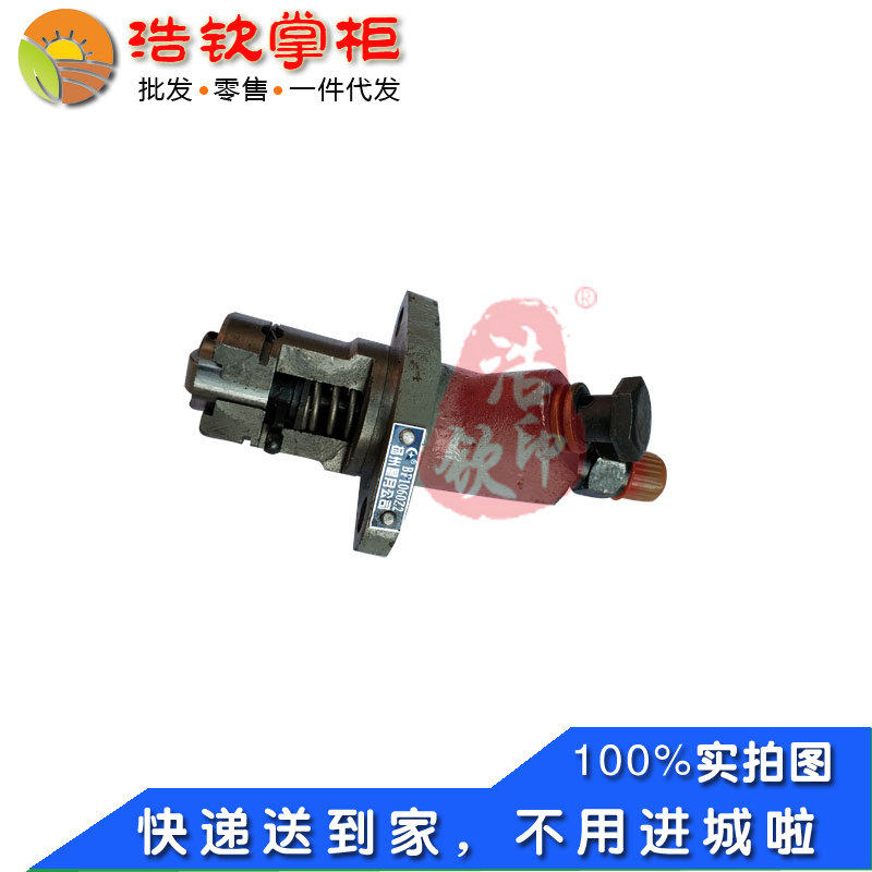 湖南滨湖桃花源正滨风冷四冲程小型柴油机BH165F高压油泵总成