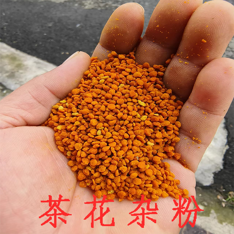 茶花杂粉 养蜂喂蜂茶花粉粉末蜜蜂饲料粉高性价比好过油菜花粉末