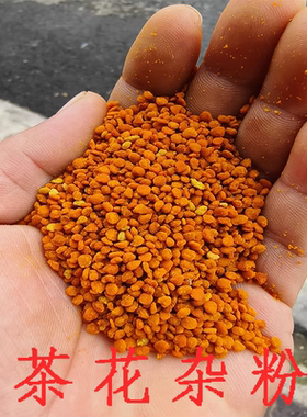 蜜蜂饲料茶花粉养蜂喂蜂