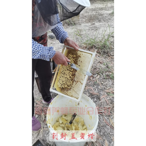 广东荔枝蜜原蜜农家土蜂蜜天然野生蜜龙眼蜜冬蜜农家蜜美容绿色