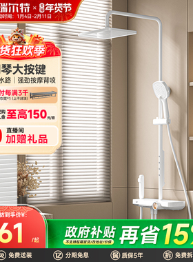 瑞尔特淋浴花洒套装自清洁按摩背喷钢琴键置物台洗澡沐浴器K25P