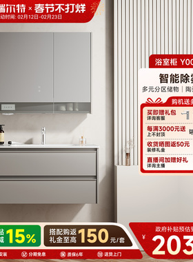 瑞尔特新款浴室柜组合陶瓷一体盆卫生间洗漱台洗手池洗脸盆 Y0054