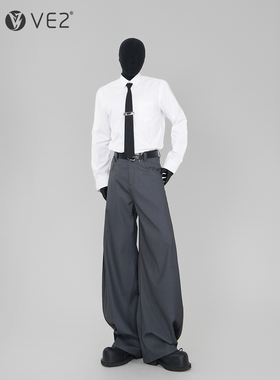 VE2 基础款百搭白色翻领长袖衬衫男免打结领带高级感正肩衬衣