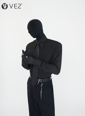 VE2 基础款翻领长袖衬衫男高级感尖领免打结领带衬衣抗皱打底衫