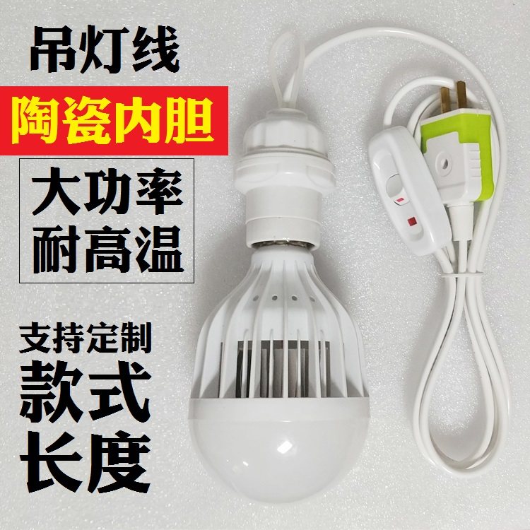 E27螺口大功率动物取暖/加热浴霸灯头灯座灯口插头座延长线简易灯