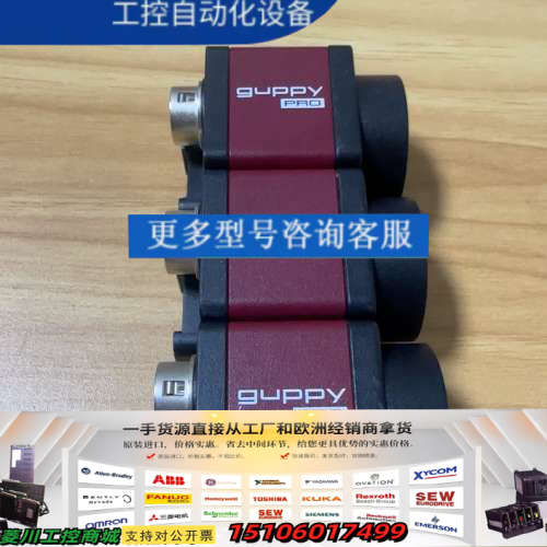 AVT ALLIED GPF 503B ASG      工议价