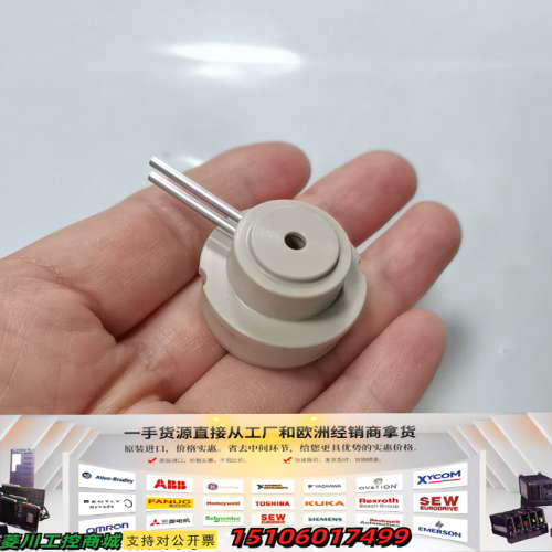 赛默飞离子色谱ICS-3000/ICS-5000泵头配件，二议价