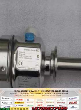 E+H恩德斯豪斯音叉开关FTL51H-ATC2BC2G6议价