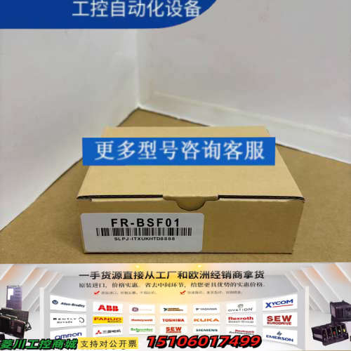 FR-BSF01，实物图片，70议价