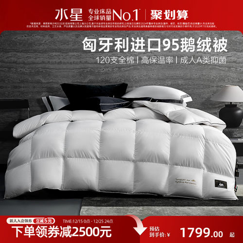 水星A类抑菌匈牙利进口95鹅绒被