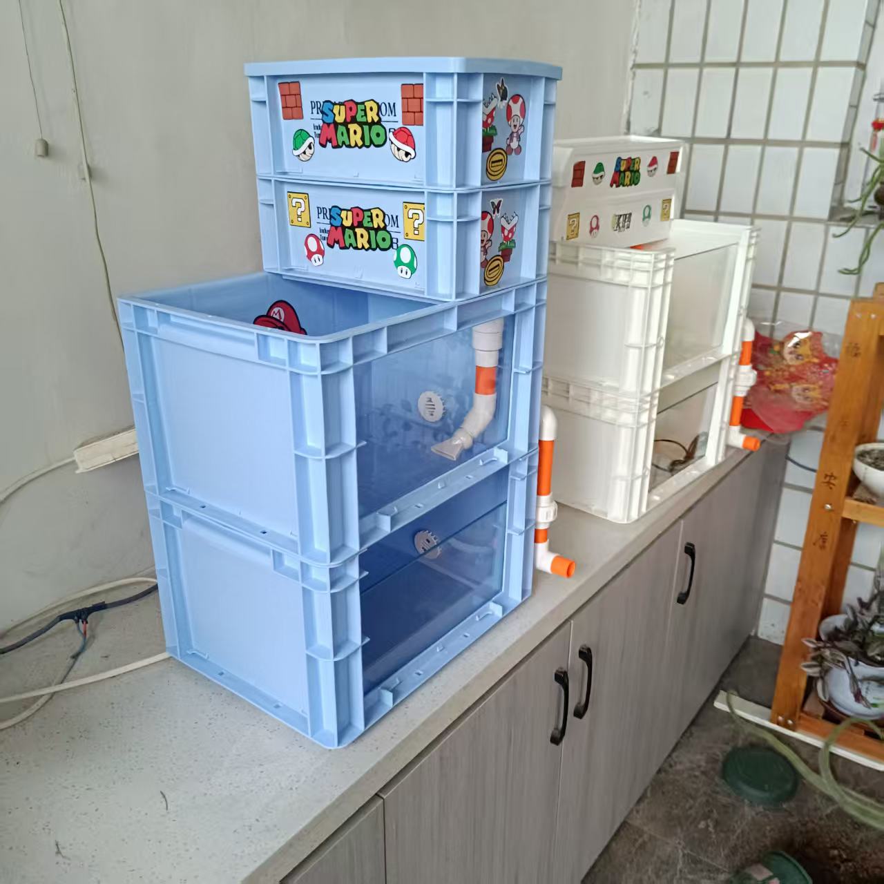 天空蓝双层40可视周转箱龟缸鱼缸