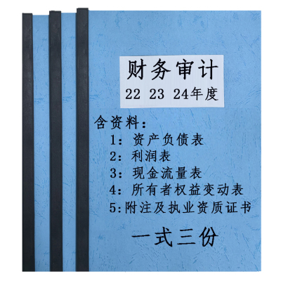 审计咨询投标年度财务专项清算评估资企业财务审计清算咨询专项高新年检