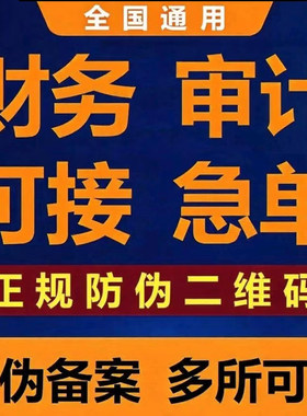 公司审计咨询投标年度报表年检专项年报资产估报告财务评报表赋码