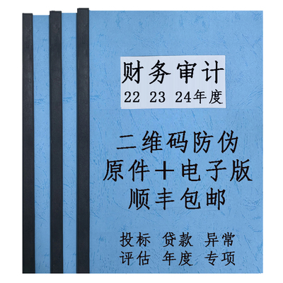 财务审计投标报表年检专项评估