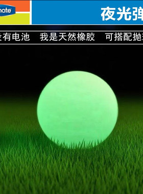 美国Petmate夜光球狗狗玩具CHUCKIT弹力耐咬天然橡胶巡回训练衔取