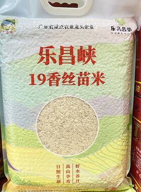 正宗香丝苗米袋装新米乐昌峡韶关