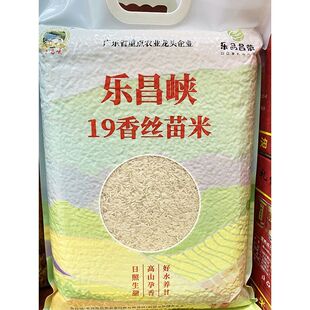 正宗乐昌峡19香丝苗米袋装5kg 韶关特产长粒香米煲仔饭炒饭新米